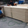 linyi supplier poplar LVL Plywood for door panel center